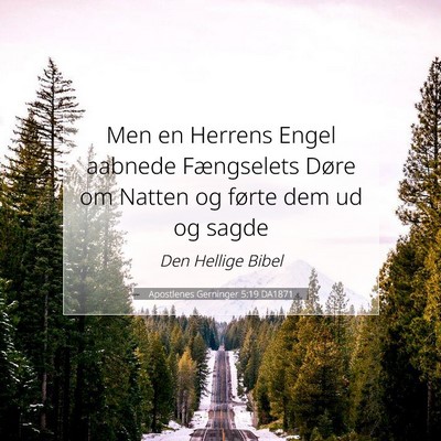Picture 07 - Apostlenes Gerninger 5:19 DA1871 - Men en Herrens Engel aabnede Fængselets Døre om - Bible Verse Picture