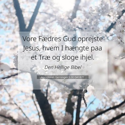Picture 07 - Apostlenes Gerninger 5:30 DA1871 - Vore Fædres Gud oprejste Jesus, hvem I hængte - Bible Verse Picture