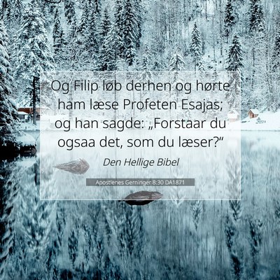 Picture 07 - Apostlenes Gerninger 8:30 DA1871 - Og Filip løb derhen og hørte ham læse Profeten - Bible Verse Picture