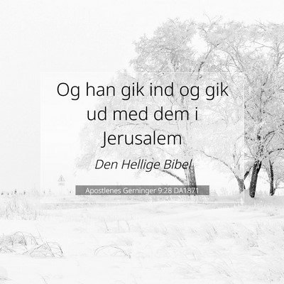 Picture 07 - Apostlenes Gerninger 9:28 DA1871 - Og han gik ind og gik ud med dem i - Bible Verse Picture
