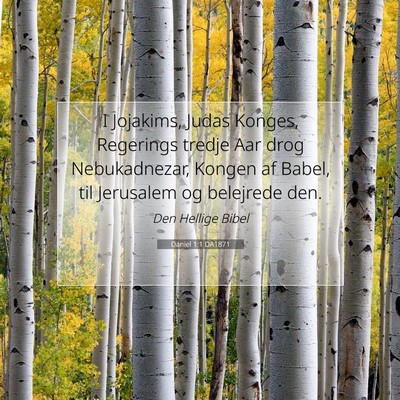 Picture 07 - Daniel 1:1 DA1871 - I Jojakims, Judas Konges, Regerings tredje Aar - Bible Verse Picture