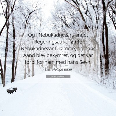 Picture 07 - Daniel 2:1 DA1871 - Og i Nebukadnezars andet Regeringsaar drømte - Bible Verse Picture