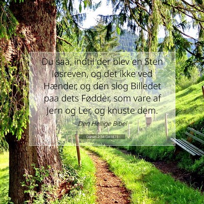 Picture 07 - Daniel 2:34 DA1871 - Du saa, indtil der blev en Sten løsreven, og det - Bible Verse Picture