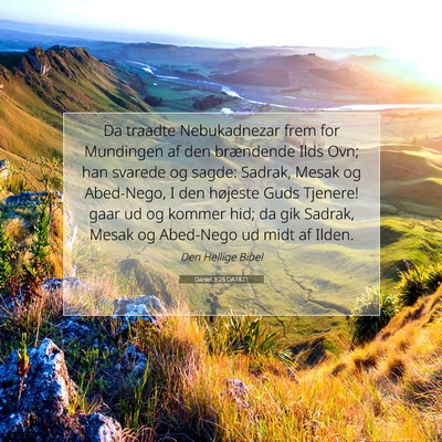 Picture 07 - Daniel 3:26 DA1871 - Da traadte Nebukadnezar frem for Mundingen af den - Bible Verse Picture