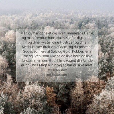 Picture 07 - Daniel 5:23 DA1871 - Men du har ophøjet dig over Himmelens Herre, og - Bible Verse Picture