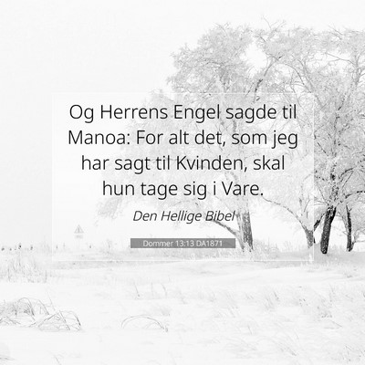 Picture 07 - Dommer 13:13 DA1871 - Og Herrens Engel sagde til Manoa: For alt det, - Bible Verse Picture