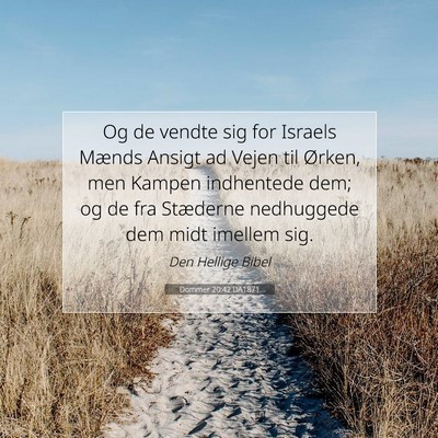 Picture 07 - Dommer 20:42 DA1871 - Og de vendte sig for Israels Mænds Ansigt ad - Bible Verse Picture