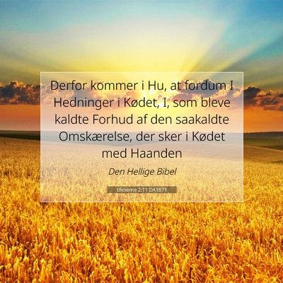 Picture 07 - Efeserne 2:11 DA1871 - Derfor kommer i Hu, at fordum I Hedninger i - Bible Verse Picture