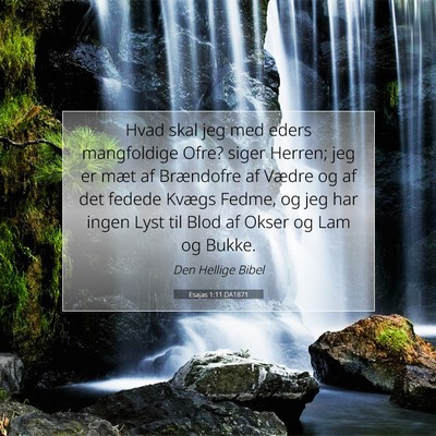 Picture 07 - Esajas 1:11 DA1871 - Hvad skal jeg med eders mangfoldige Ofre? siger - Bible Verse Picture