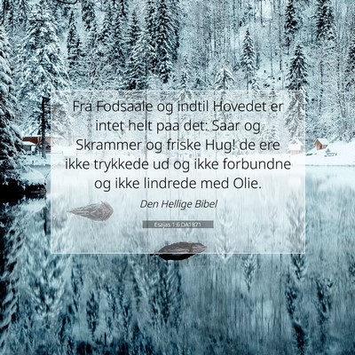 Picture 07 - Esajas 1:6 DA1871 - Fra Fodsaale og indtil Hovedet er intet helt paa - Bible Verse Picture