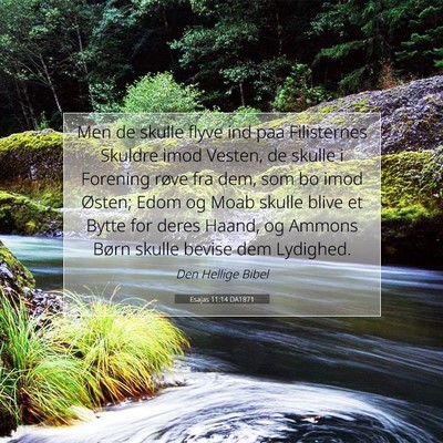 Picture 07 - Esajas 11:14 DA1871 - Men de skulle flyve ind paa Filisternes Skuldre - Bible Verse Picture