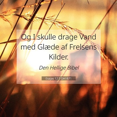 Picture 07 - Esajas 12:3 DA1871 - Og I skulle drage Vand med Glæde af Frelsens - Bible Verse Picture
