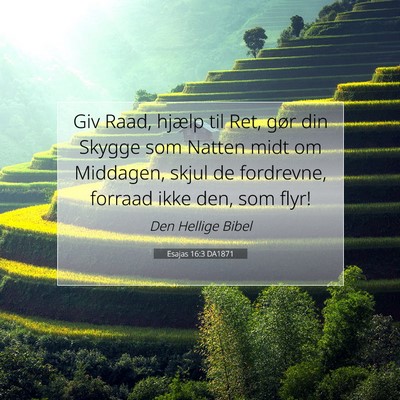 Picture 07 - Esajas 16:3 DA1871 - Giv Raad, hjælp til Ret, gør din Skygge som - Bible Verse Picture