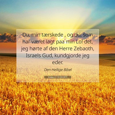 Picture 07 - Esajas 21:10 DA1871 - Du, min tærskede , og du, som har været lagt - Bible Verse Picture