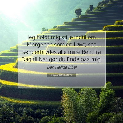Picture 07 - Esajas 38:13 DA1871 - Jeg holdt mig stille indtil om Morgenen som en - Bible Verse Picture