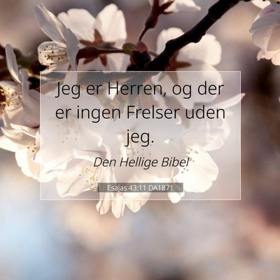 Picture 07 - Esajas 43:11 DA1871 - Jeg er Herren, og der er ingen Frelser uden - Bible Verse Picture