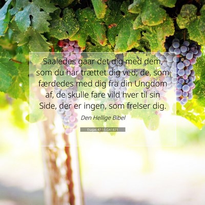 Picture 07 - Esajas 47:15 DA1871 - Saaledes gaar det dig med dem, som du har - Bible Verse Picture