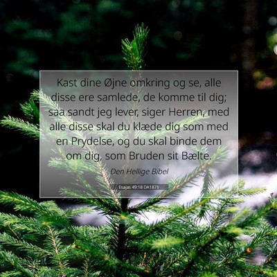 Picture 07 - Esajas 49:18 DA1871 - Kast dine Øjne omkring og se, alle disse ere - Bible Verse Picture