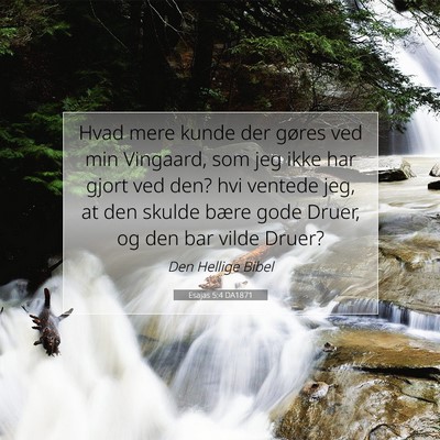 Picture 07 - Esajas 5:4 DA1871 - Hvad mere kunde der gøres ved min Vingaard, som - Bible Verse Picture