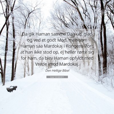 Picture 07 - Ester 5:9 DA1871 - Da gik Haman samme Dag ud, glad og ved et godt - Bible Verse Picture