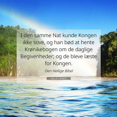 Picture 07 - Ester 6:1 DA1871 - I den samme Nat kunde Kongen ikke sove, og han - Bible Verse Picture