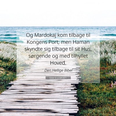 Picture 07 - Ester 6:12 DA1871 - Og Mardokaj kom tilbage til Kongens Port; men - Bible Verse Picture