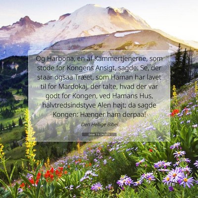 Picture 07 - Ester 7:9 DA1871 - Og Harbona, en af Kammertjenerne, som stode for - Bible Verse Picture