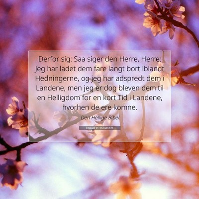 Picture 07 - Ezekiel 11:16 DA1871 - Derfor sig: Saa siger den Herre, Herre: Jeg har - Bible Verse Picture