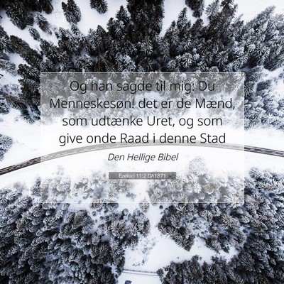 Picture 07 - Ezekiel 11:2 DA1871 - Og han sagde til mig: Du Menneskesøn! det er de - Bible Verse Picture