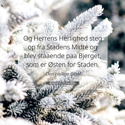 Picture 07 - Ezekiel 11:23 DA1871 - Og Herrens Herlighed steg op fra Stadens Midte og - Bible Verse Picture