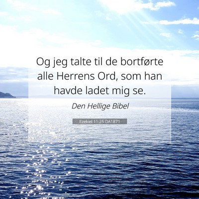 Picture 07 - Ezekiel 11:25 DA1871 - Og jeg talte til de bortførte alle Herrens Ord, - Bible Verse Picture