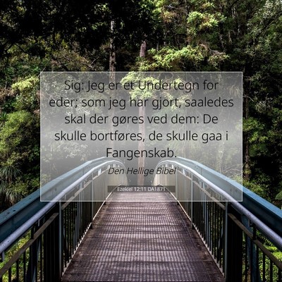 Picture 07 - Ezekiel 12:11 DA1871 - Sig: Jeg er et Undertegn for eder; som jeg har - Bible Verse Picture