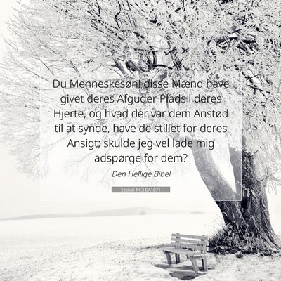 Picture 07 - Ezekiel 14:3 DA1871 - Du Menneskesøn! disse Mænd have givet deres - Bible Verse Picture
