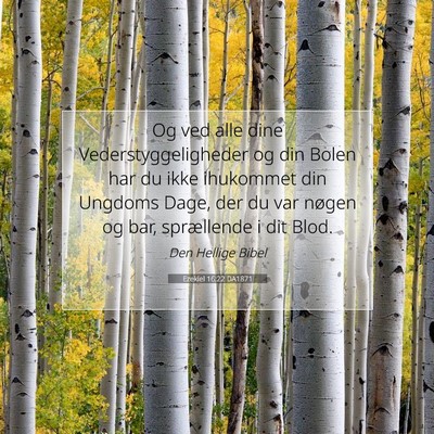 Picture 07 - Ezekiel 16:22 DA1871 - Og ved alle dine Vederstyggeligheder og din Bolen - Bible Verse Picture