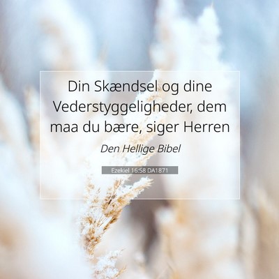 Picture 07 - Ezekiel 16:58 DA1871 - Din Skændsel og dine Vederstyggeligheder, dem - Bible Verse Picture