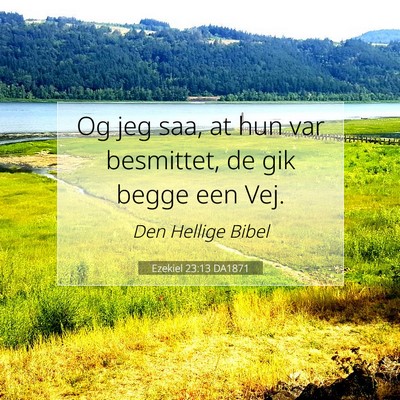 Picture 07 - Ezekiel 23:13 DA1871 - Og jeg saa, at hun var besmittet, de gik begge - Bible Verse Picture