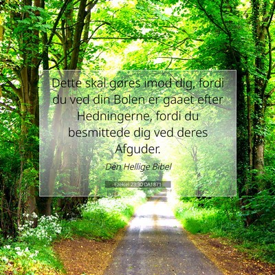 Picture 07 - Ezekiel 23:30 DA1871 - Dette skal gøres imod dig, fordi du ved din - Bible Verse Picture