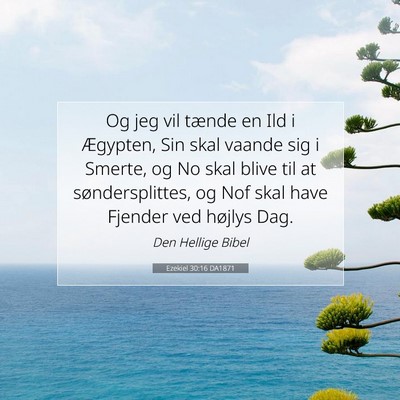 Picture 07 - Ezekiel 30:16 DA1871 - Og jeg vil tænde en Ild i Ægypten, Sin skal - Bible Verse Picture