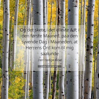 Picture 07 - Ezekiel 30:20 DA1871 - Og det skete i det ellevte Aar, i den første - Bible Verse Picture
