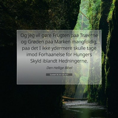 Picture 07 - Ezekiel 36:30 DA1871 - Og jeg vil gøre Frugten paa Træerne og Grøden - Bible Verse Picture