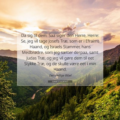 Picture 07 - Ezekiel 37:19 DA1871 - Da sig til dem: Saa siger den Herre, Herre: Se, - Bible Verse Picture