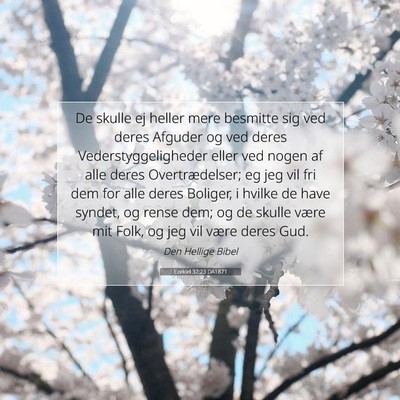 Picture 07 - Ezekiel 37:23 DA1871 - De skulle ej heller mere besmitte sig ved deres - Bible Verse Picture