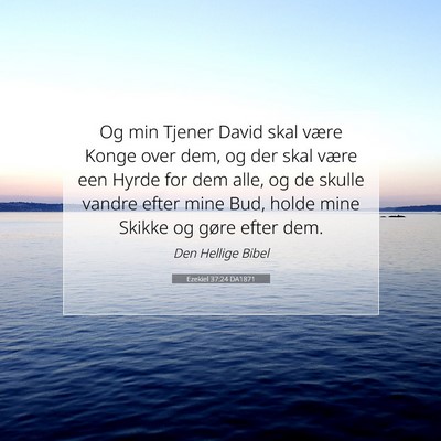 Picture 07 - Ezekiel 37:24 DA1871 - Og min Tjener David skal være Konge over dem, og - Bible Verse Picture