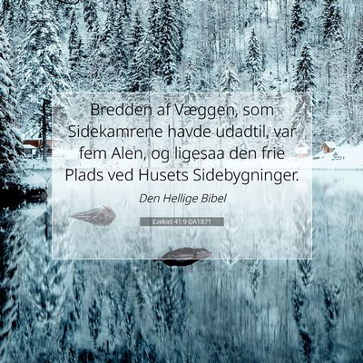 Picture 07 - Ezekiel 41:9 DA1871 - Bredden af Væggen, som Sidekamrene havde - Bible Verse Picture