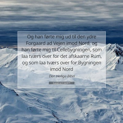 Picture 07 - Ezekiel 42:1 DA1871 - Og han førte mig ud til den ydre Forgaard ad - Bible Verse Picture