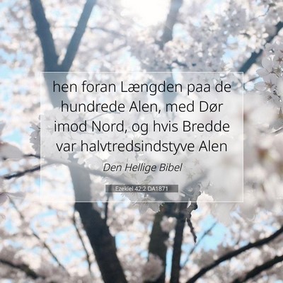 Picture 07 - Ezekiel 42:2 DA1871 - hen foran Længden paa de hundrede Alen, med Dør - Bible Verse Picture
