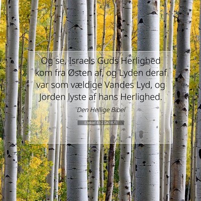 Picture 07 - Ezekiel 43:2 DA1871 - Og se, Israels Guds Herlighed kom fra Østen af, - Bible Verse Picture