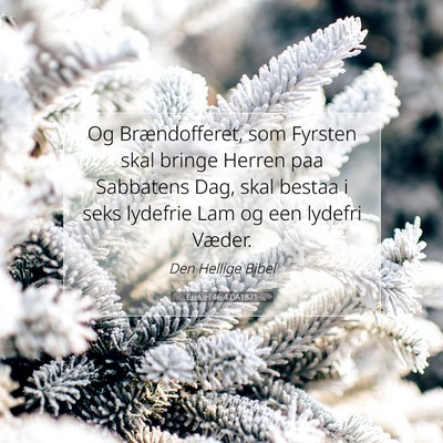 Picture 07 - Ezekiel 46:4 DA1871 - Og Brændofferet, som Fyrsten skal bringe Herren - Bible Verse Picture