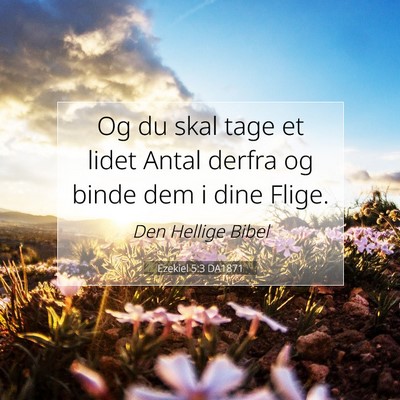 Picture 07 - Ezekiel 5:3 DA1871 - Og du skal tage et lidet Antal derfra og binde - Bible Verse Picture