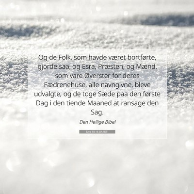 Picture 07 - Ezra 10:16 DA1871 - Og de Folk, som havde været bortførte, gjorde - Bible Verse Picture